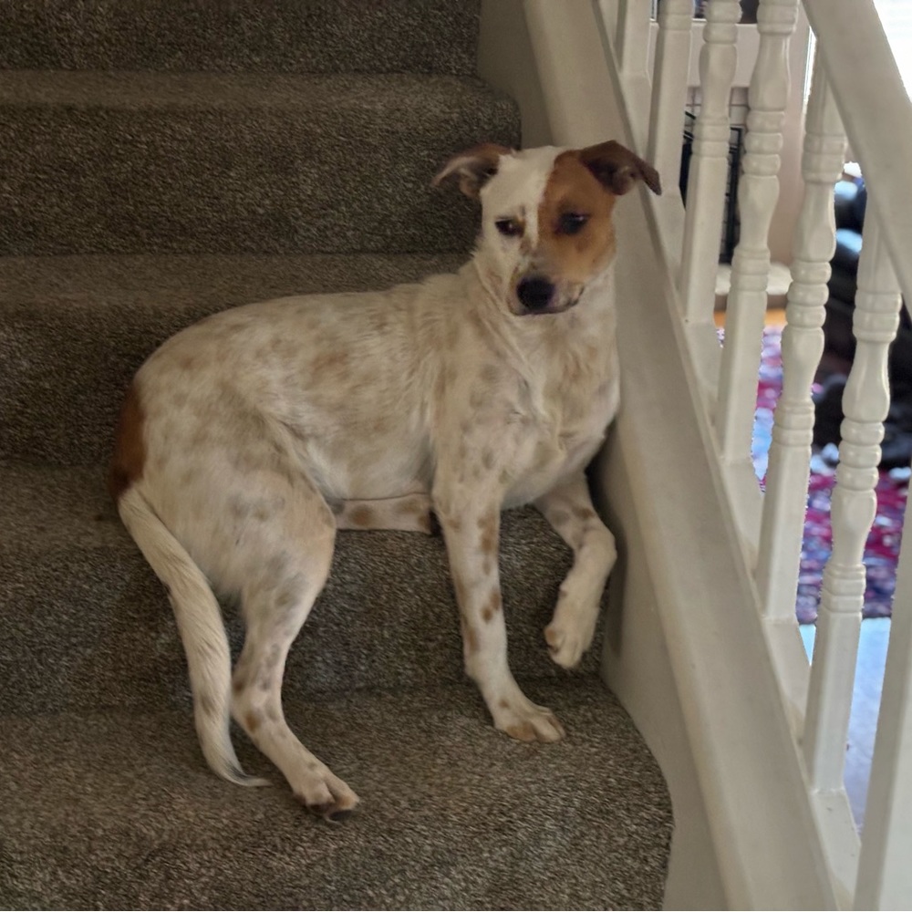 Meet your Posher, Leah